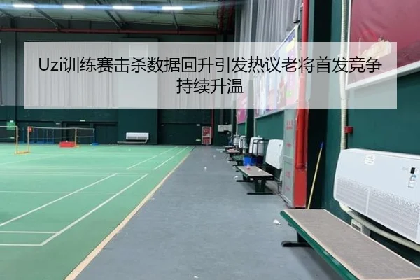 Uzi训练赛击杀数据回升引发热议老将首发竞争持续升温